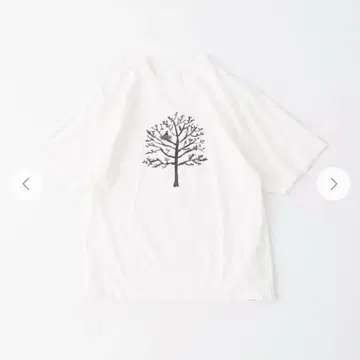 BASIC 천축 빅 티 20주년 기념 에디션