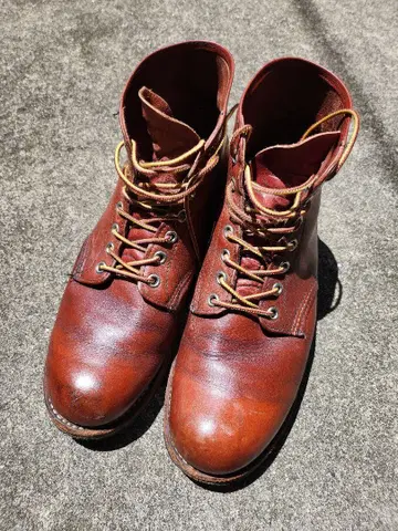 레드윙 RED WING 8166