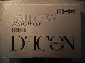 ENHYPEN 정원 D/ICON D 페스타