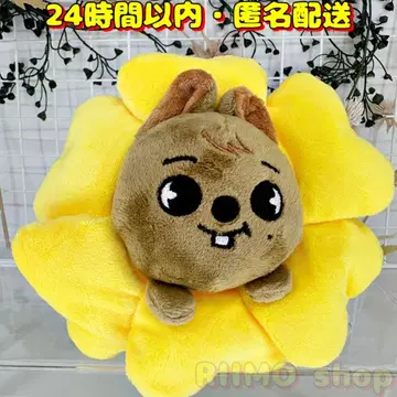 SKZOO flower 펜 케이스 한 HAN 한쿠와카