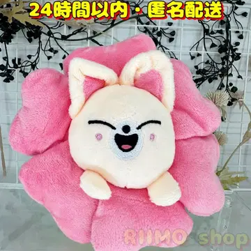 SKZOO flower 펜 케이스 아이엔 I.N 폭시니
