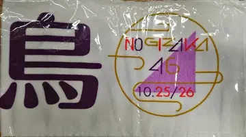 노기자카46 상하이 공연 2019 사이토 아스카 개별 머플러 타월
