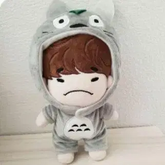 2PM 인형용 토토로풍 의상