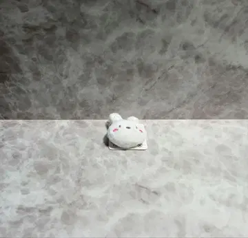 (고양이 씨)