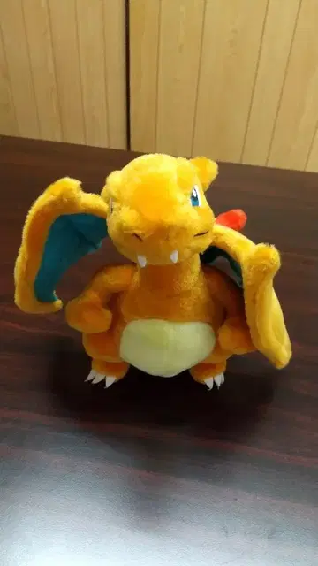 리자몽 포켓몬