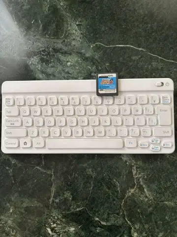 포켓몬 타이핑 D S