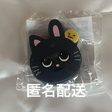 RIIZE 원빈 부채 액세서리