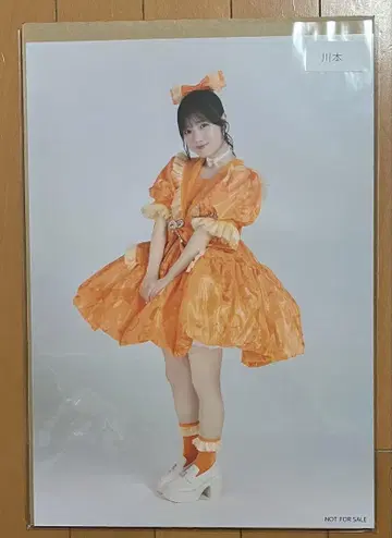 큐스토 CUTIESTREET 카와모토 에루 포스터 A3 세일러 온토쿠