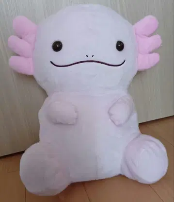 루루파 Big 봉제 인형