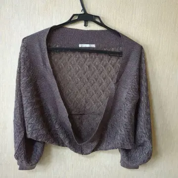 Brahmin 브라운 라메 시스루 니트 가디건
