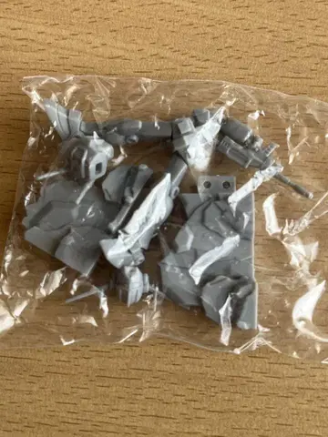 초코 사프 건담 시크릿
