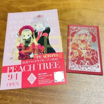 PEACH-PIT 25주년 특별전 입장 혜택 로젠 메이든 수은등