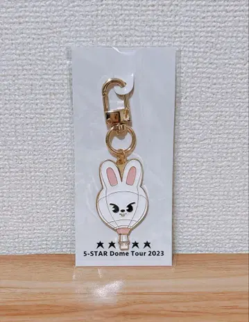 stray kids 5-STAR DomeTour Lee 비트 키링