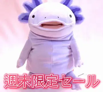 아호로토루 부사카와 봉제 인형 약 14cm