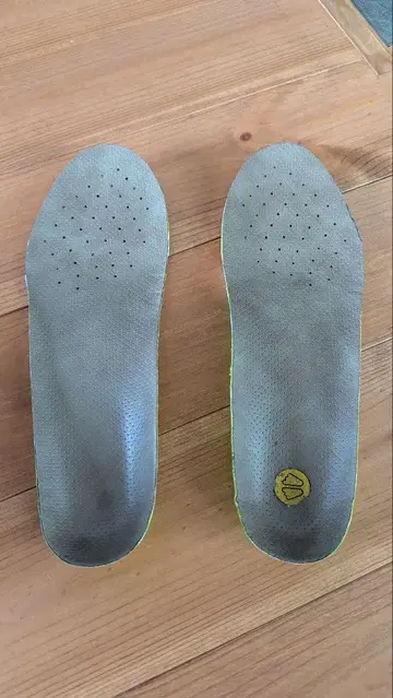 SIDAS 인솔