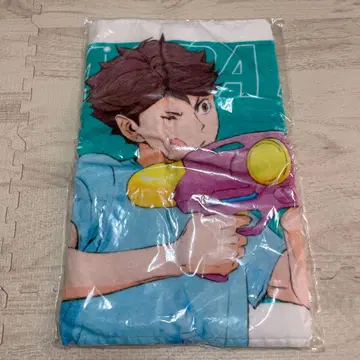 하이큐 오이카와 토오루 이와이즈미 하지메 아오바조시 타월 물놀이