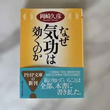 기공은 왜 효과가 있는가? 오카자키 히사히코 지음