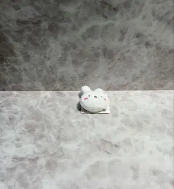 (고양이 씨)