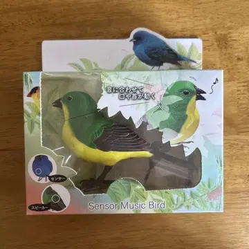센서 뮤직 버드 잉꼬
