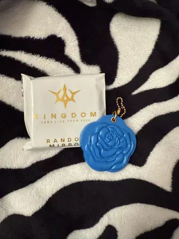 3대째 JSB 토사카 히로오미 로즈 슬라이드 거울 kingdom