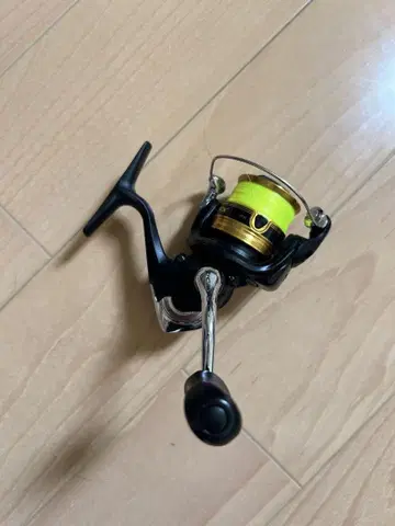 낚시 릴 블랙과 금