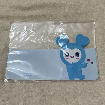 TWICE 나연 나브리 여권 케이스