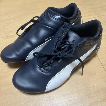 푸마 BMW 23cm
