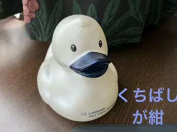 루프트한자 퍼스트 클래스터 터미널 덕 네이비 부리