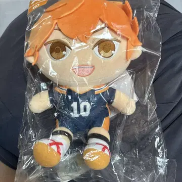 히나타 쇼요 봉제 인형 A상