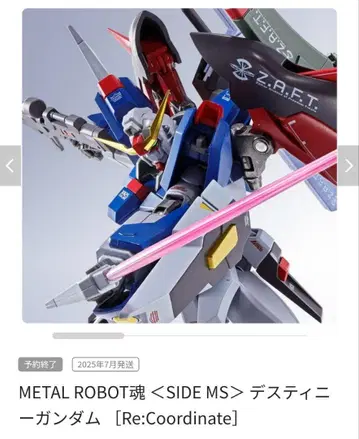 METAL ROBOT 데스티니 건담 Re:Coordinate