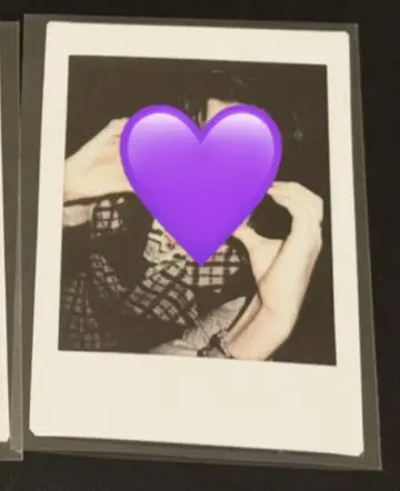 유손 폴라로이드