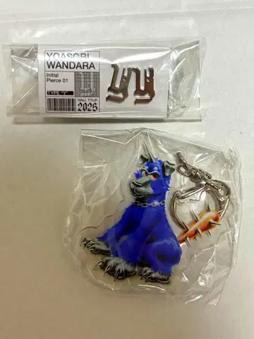 YOASOBI WANDARA 홀 투어 2025 귀걸이 Y 미사용 새상품
