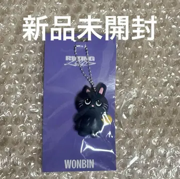 RIIZE 원빈 WONBIN 러버 키링 미개봉 새상품