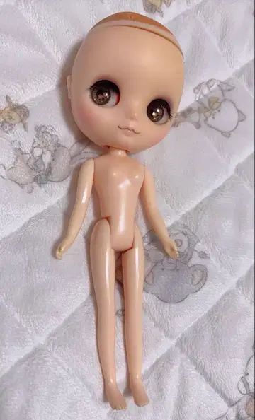 커스텀 미디 브라이스