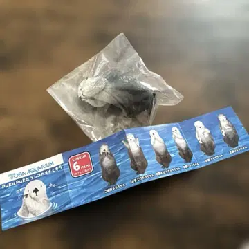 베네릭 캡슐 토이
