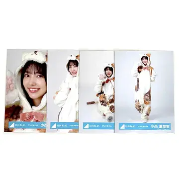 히나타자카46 코니시 나나미 브로마이드 컴프 동물 인형옷