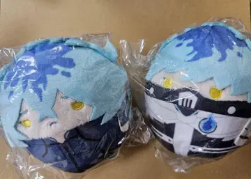 트위스티트 후와코로린 이데아 오르토 이그니 하이 기숙사