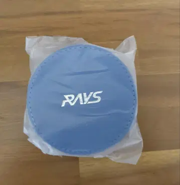 RAYS 코인 케이스
