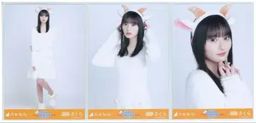 엔도 사쿠라 곤조 머리띠 브로마이드 컴프 노기자카46