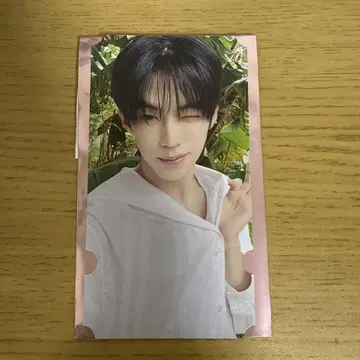 tws 카페 도훔
