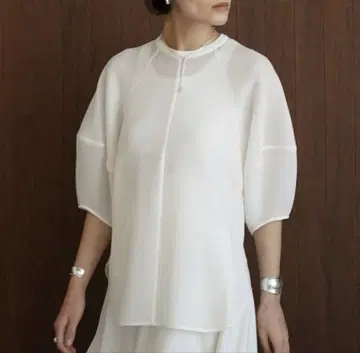 CLANE 클라네 MESH FORM SLEEVE BLOUSE