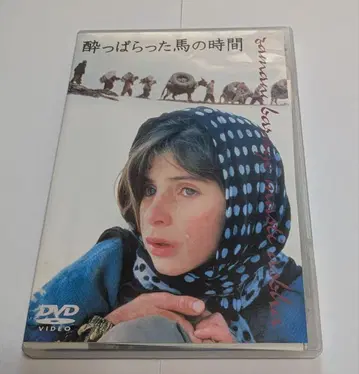 술에 취한 말의 시간 DVD 레어