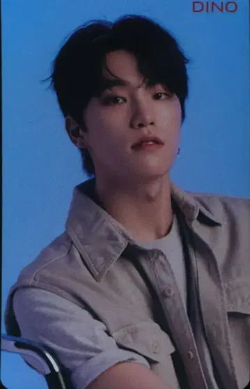 SEVENTEEN 24H DINO 트레이딩 카드