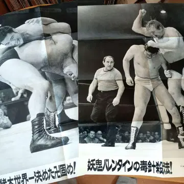 안토니오 이노키 점보 핑업 2장 1970년 쇼와 프로레슬링