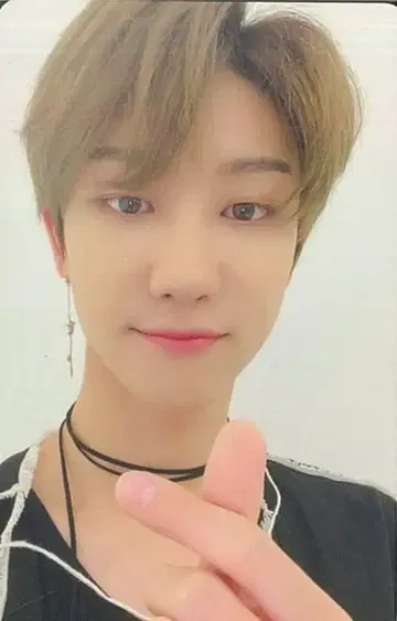 SEVENTEEN CARAT판 THE8 춤추는 꽃잎