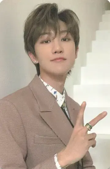 SEVENTEEN 춤추는 꽃잎 THE8 트레이딩 카드
