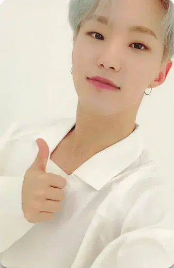 SEVENTEEN CARAT판 HOSHI 춤추듯 떨어지는 꽃잎