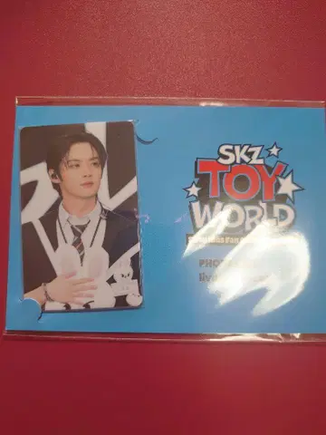straykids 토이 월드 포토 카드 리노