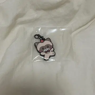 하니니 장하오 메탈 참