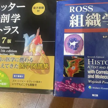 네터 해부학 아틀라스 제7판 & ROSS 조직학 제7판